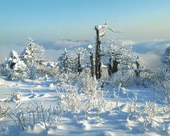 태백산 국립공원 실시간 cctv_27