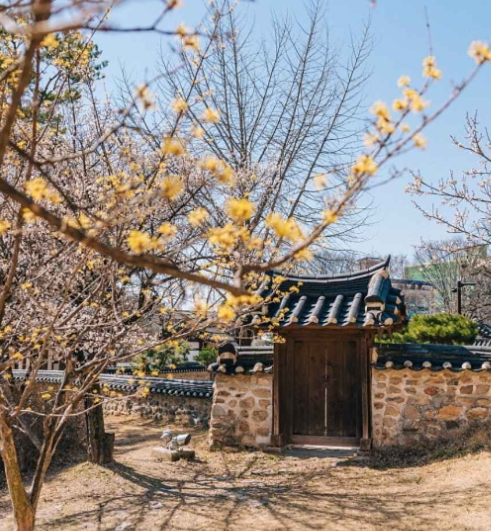 대전 가볼만한곳 베스트10