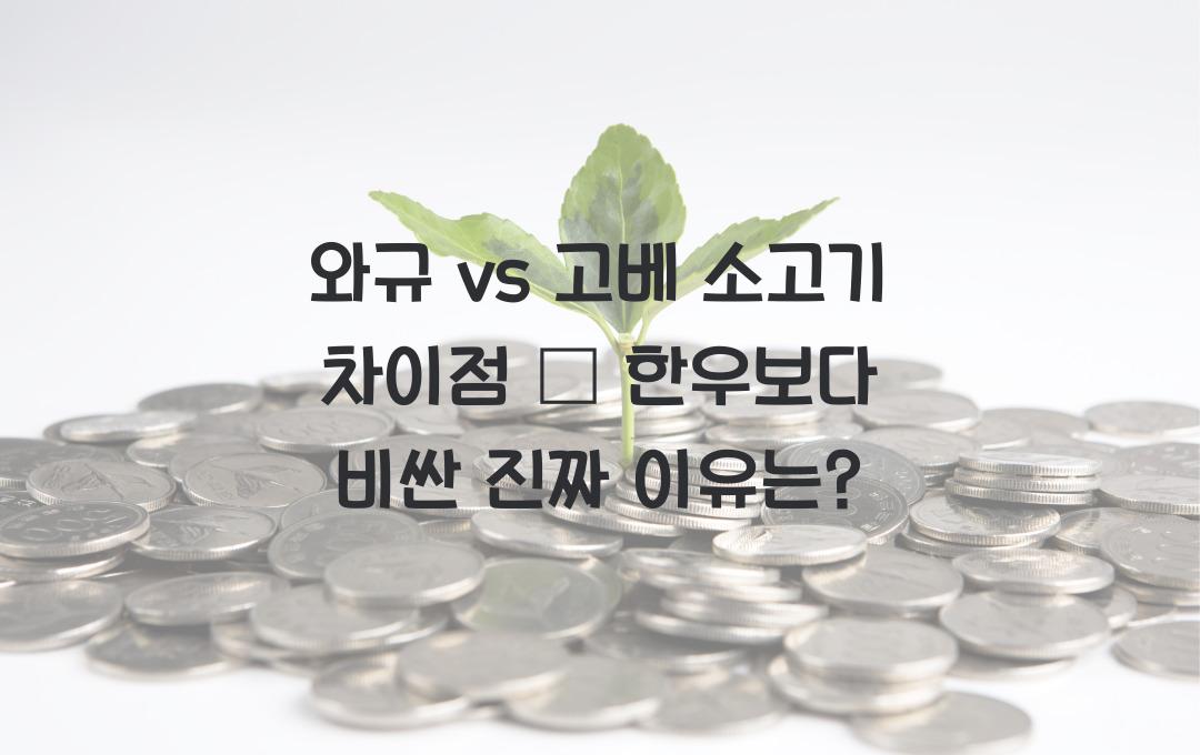와규 vs 고베 소고기 차이점 – 한우보다 더 비싼 이유!