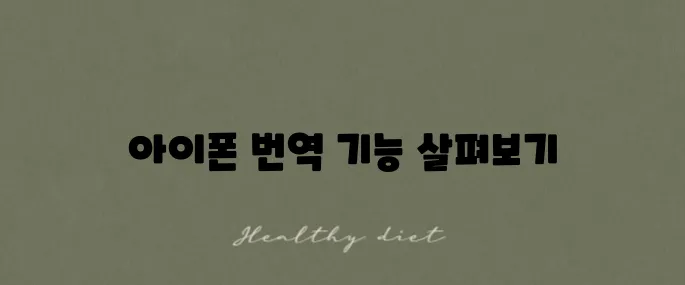 아이폰 사파리에서 영어로 번역하는 기능 활용 방법을 알아보세요!