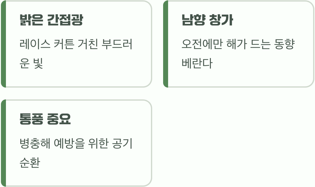 햇빛과 바람, 여왕의 휴식처