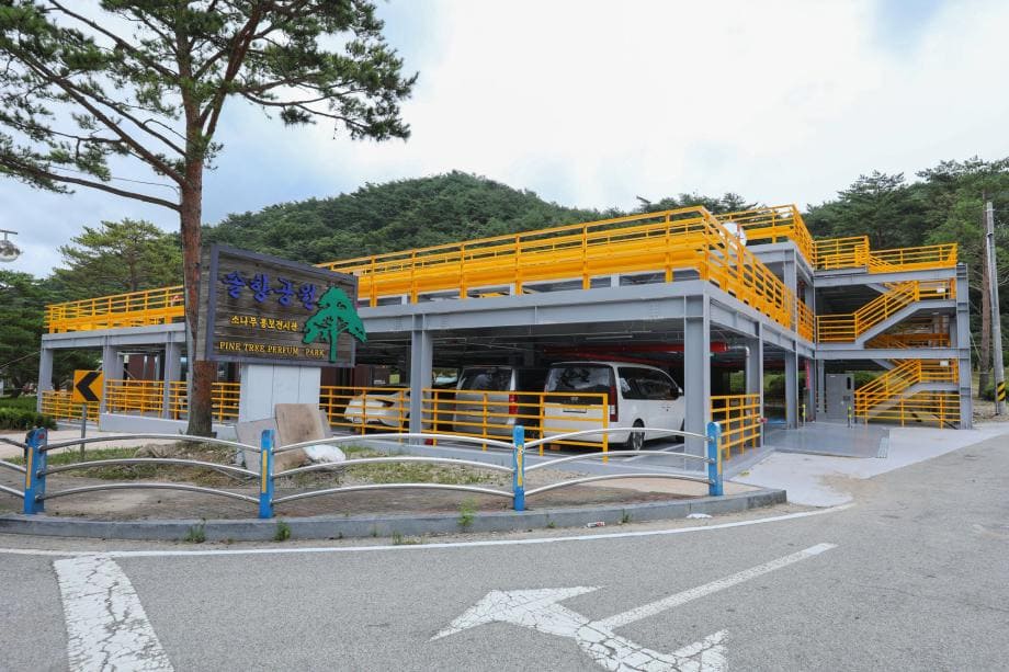 솔향공원
