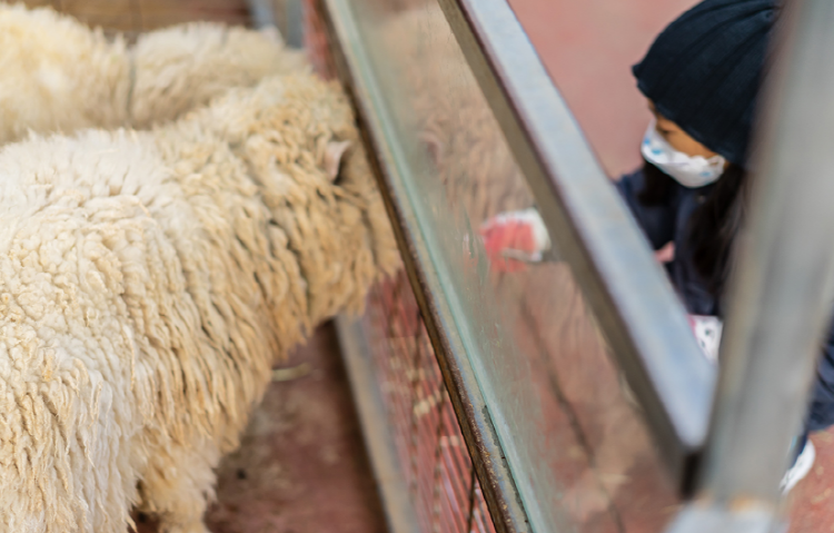 퍼스트가든 별빛축제