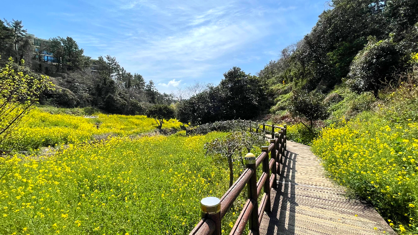 중문 미라지 내려가는 길2
