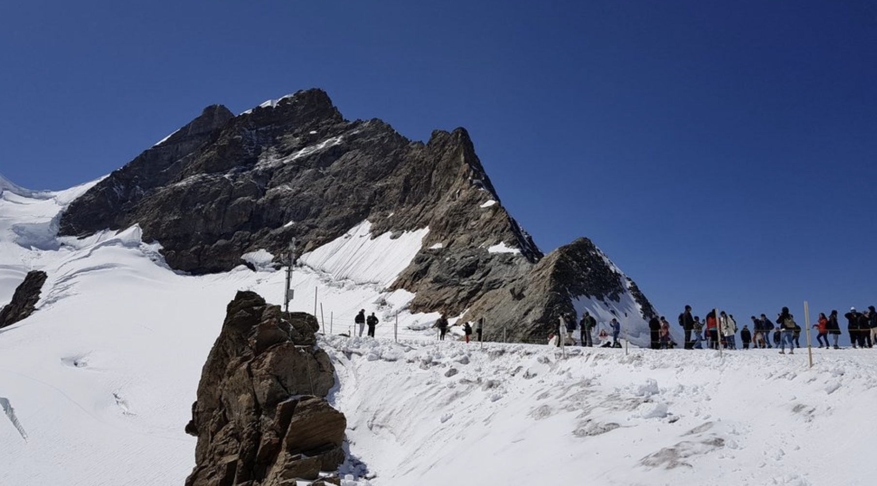 스위스 융프라우 투어 2만원 할인쿠폰 받고 떠나기 한국인 가이드