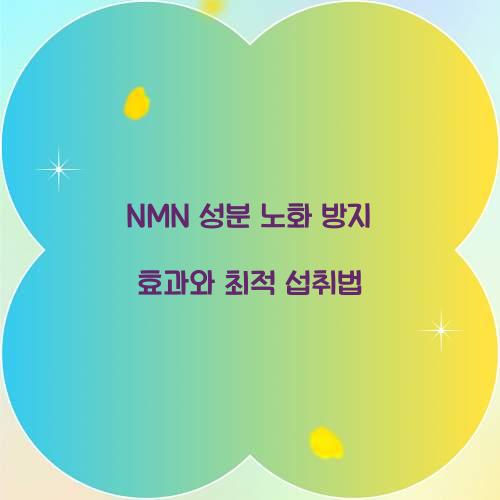NMN 성분 노화 방지