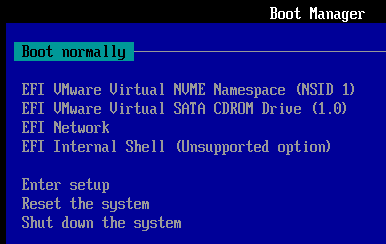 가상 머신의 Boot Manager 파란 화면