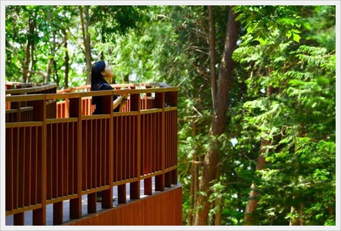 장성군 여행지 이미지입니다.