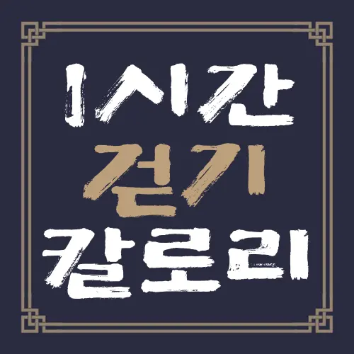 1시간 걷기 칼로리