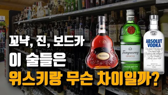 양주 가볼만한곳 베스트10 여행 놀거리 맛집_2
