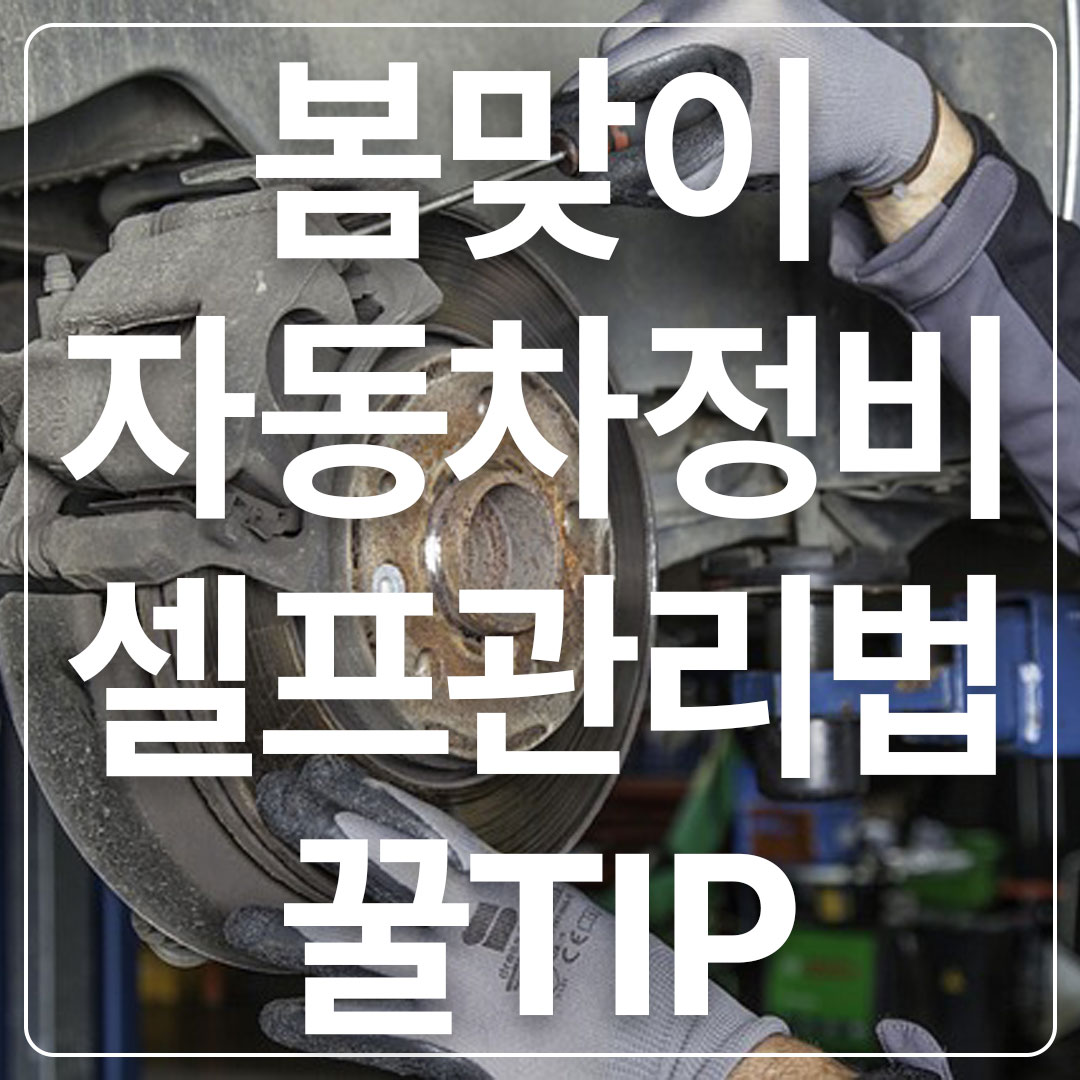 봄맞이자동차관리