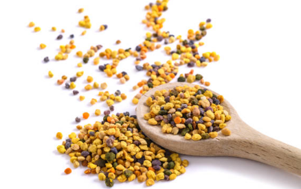 프로폴리스 효능, 부작용 총정리 (2024ver)