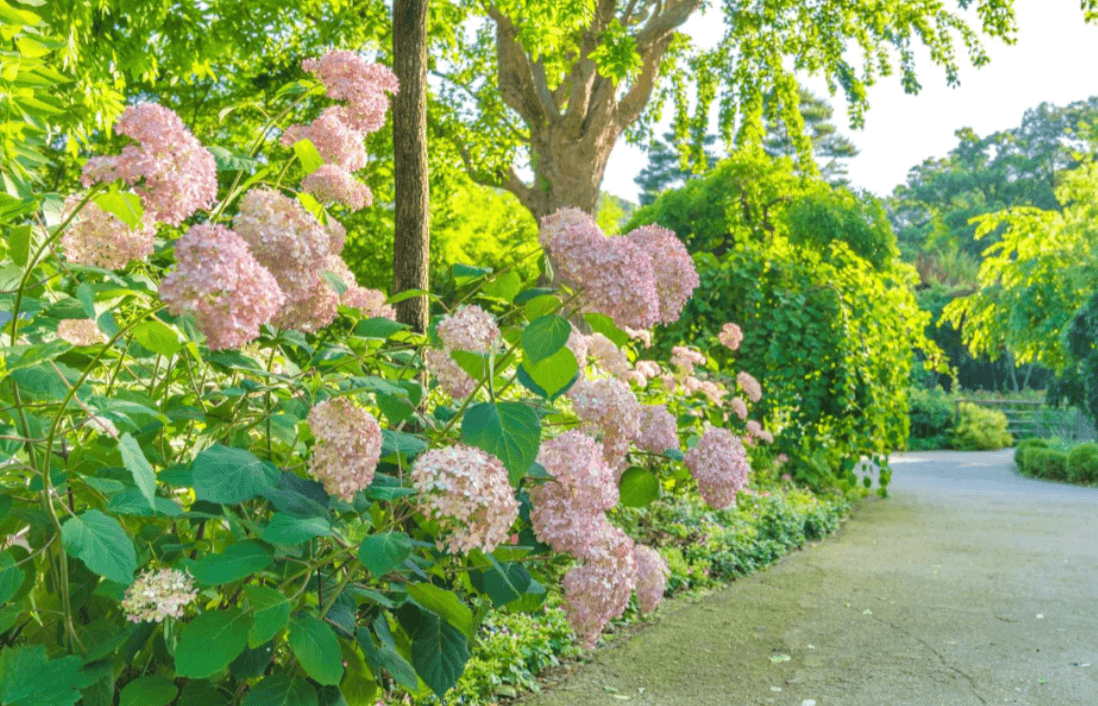 인천&amp;#44; 경기 7월&amp;#44;8월 축제 가볼만한 곳