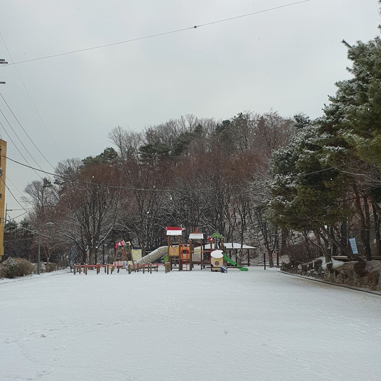 눈 내리는 풍경