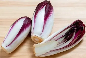 엔다이브 재배 상토 선정 배수 통풍 연속 수확_6