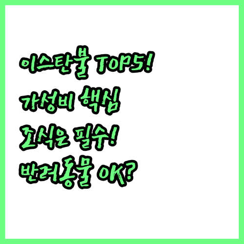 이스탄불 숙소 5곳 무료 조식부터 반..