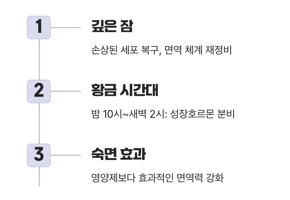잠자는 동안 강해지는 면역 군대