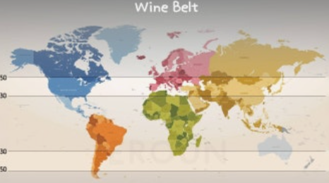 Wine Belt