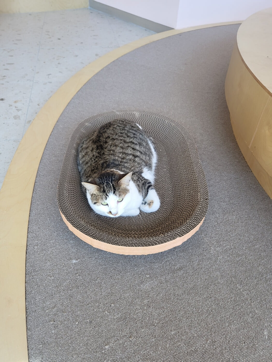 반려동물지원센터 14