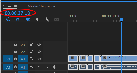 타임라인의 시간 코드