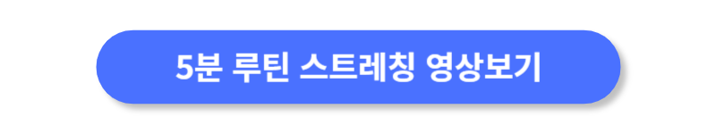 버튼