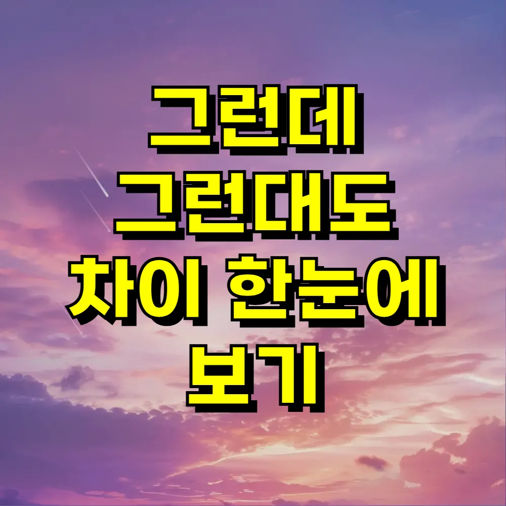 그런데 그런대도 차이 한눈에 보기