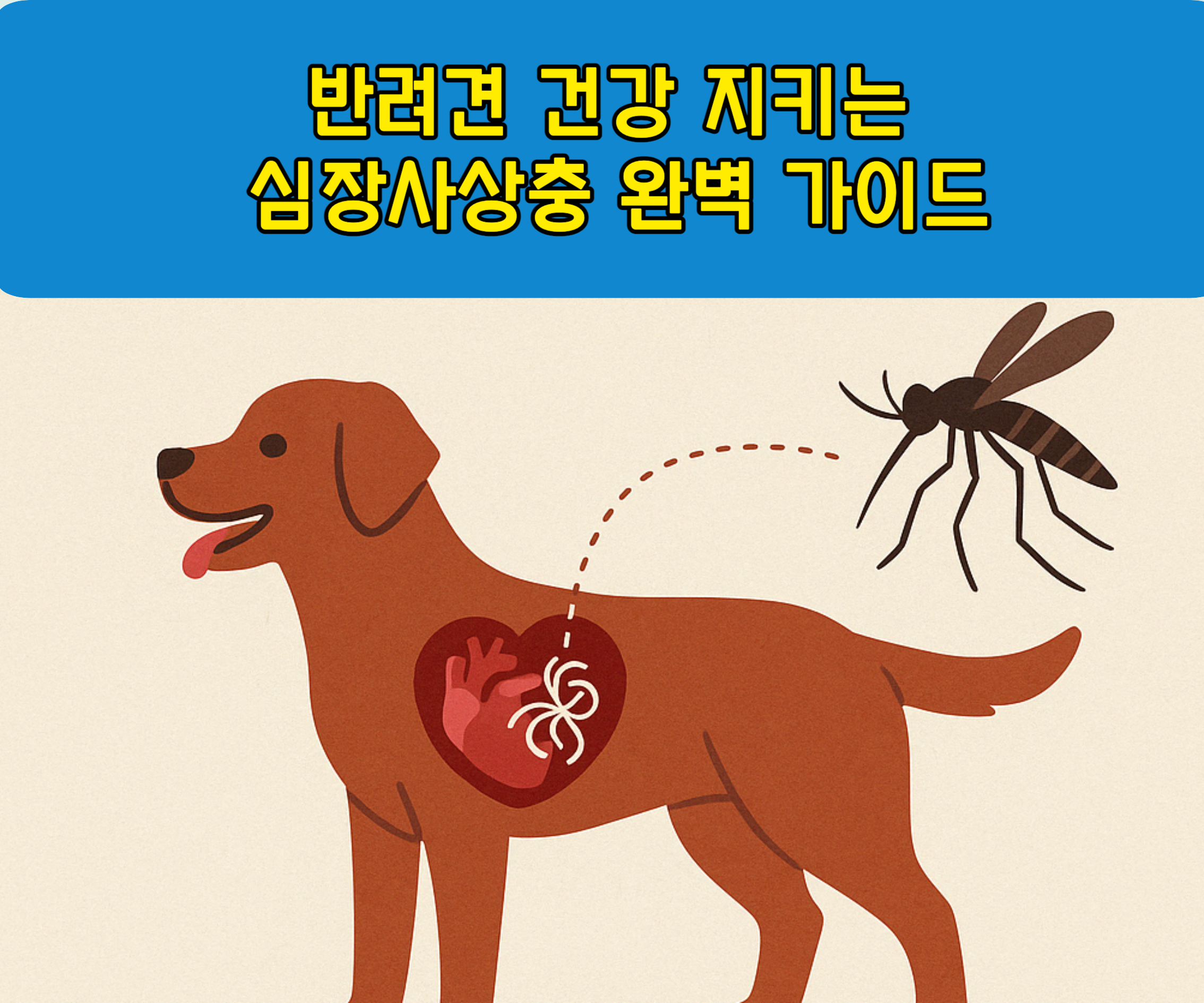 반려견 건강 지키는 심장사상충 완벽 가이드