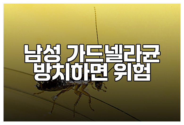 남성 가드넬라균 방치하면 위험