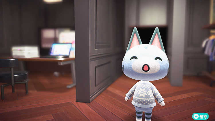 동물의 숲 해피홈 사이다 집꾸미기