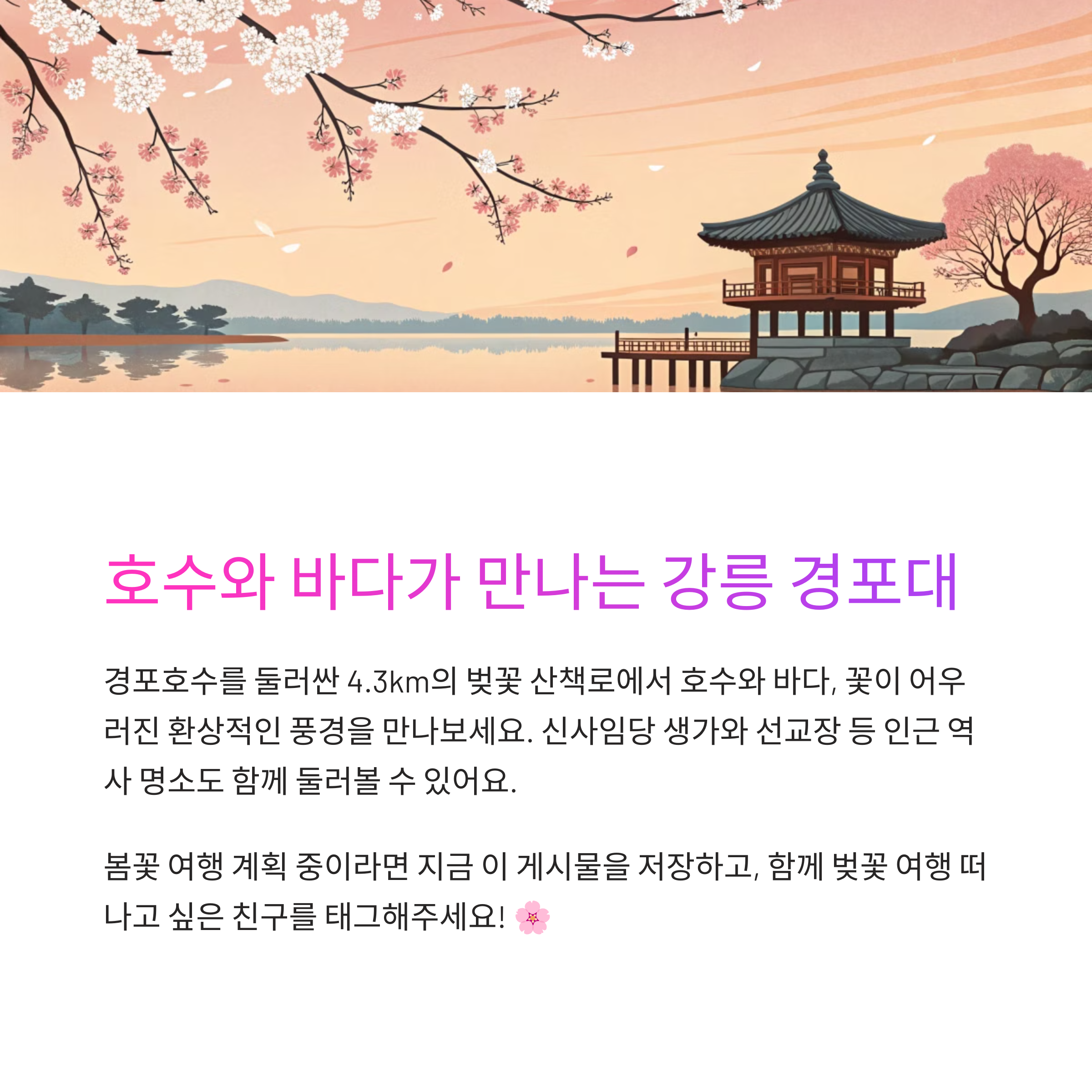 IMG_2025031701_01217.png