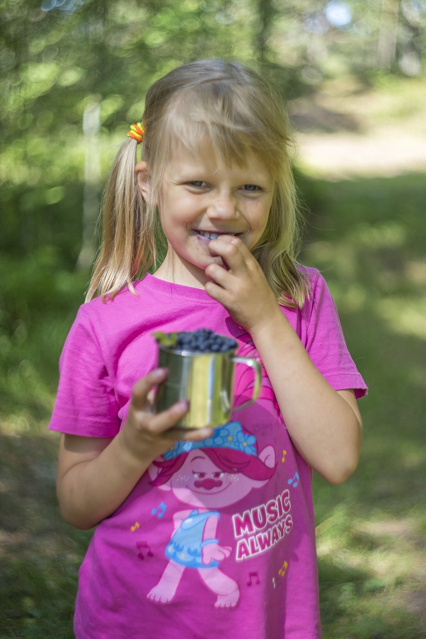 블루베리 수확 이미지