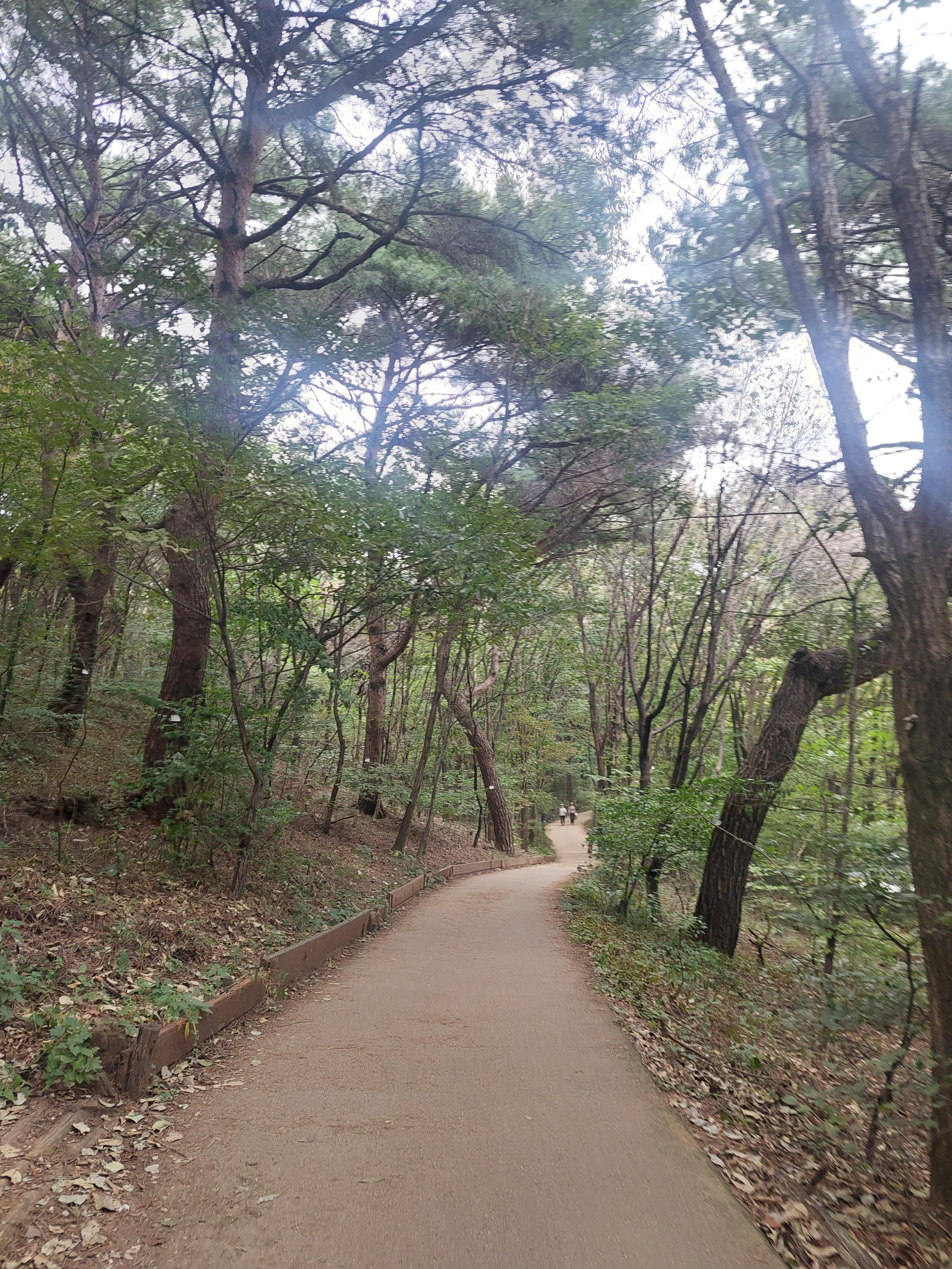 안산