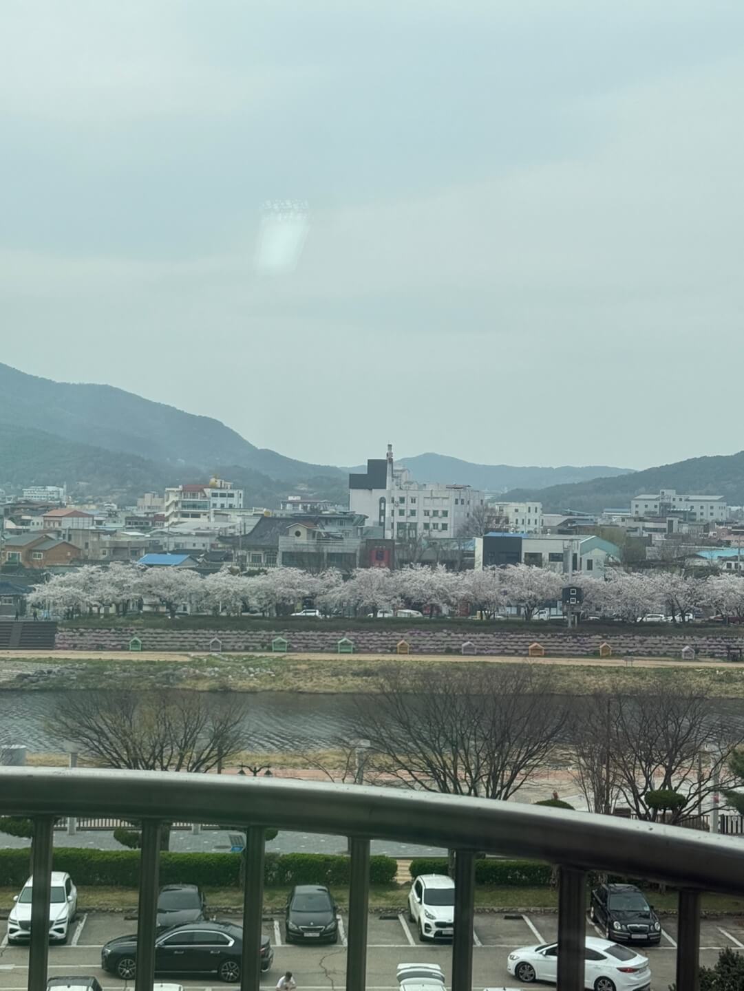 켄싱턴 리조트 남원 객실 전망 벚꽃 풍경