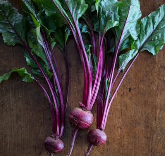 치매 예방 음식 좋은 식품