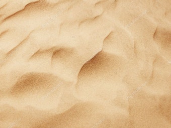 삼성전자 반도체