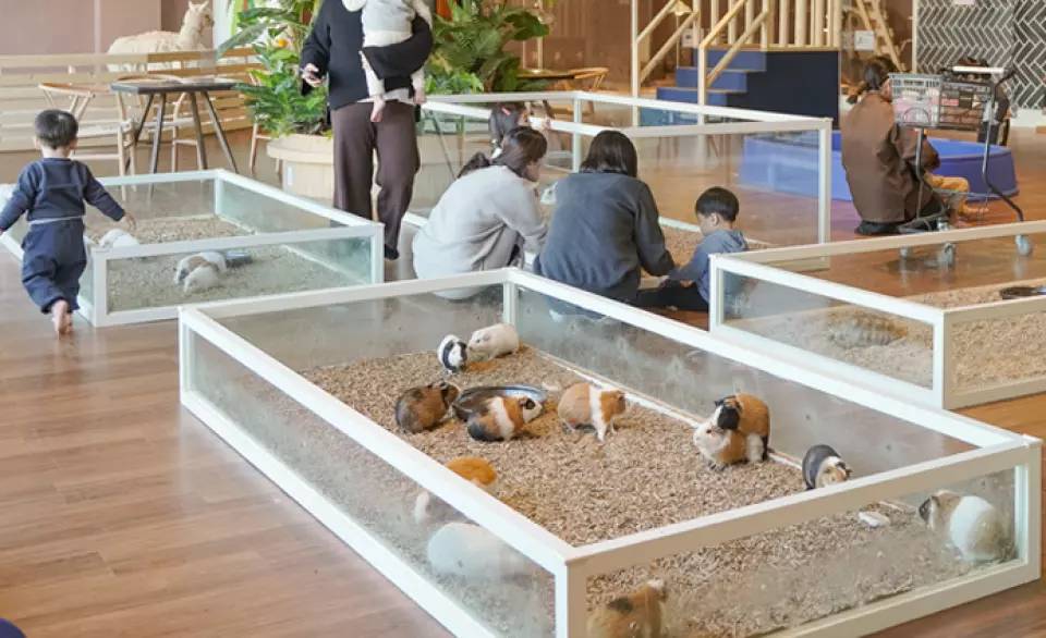 쥬라리움 동탄점2