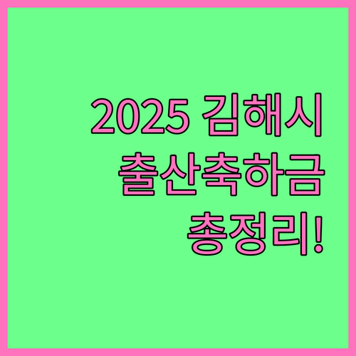 2025 김해시 출산축하금 파헤치기:..