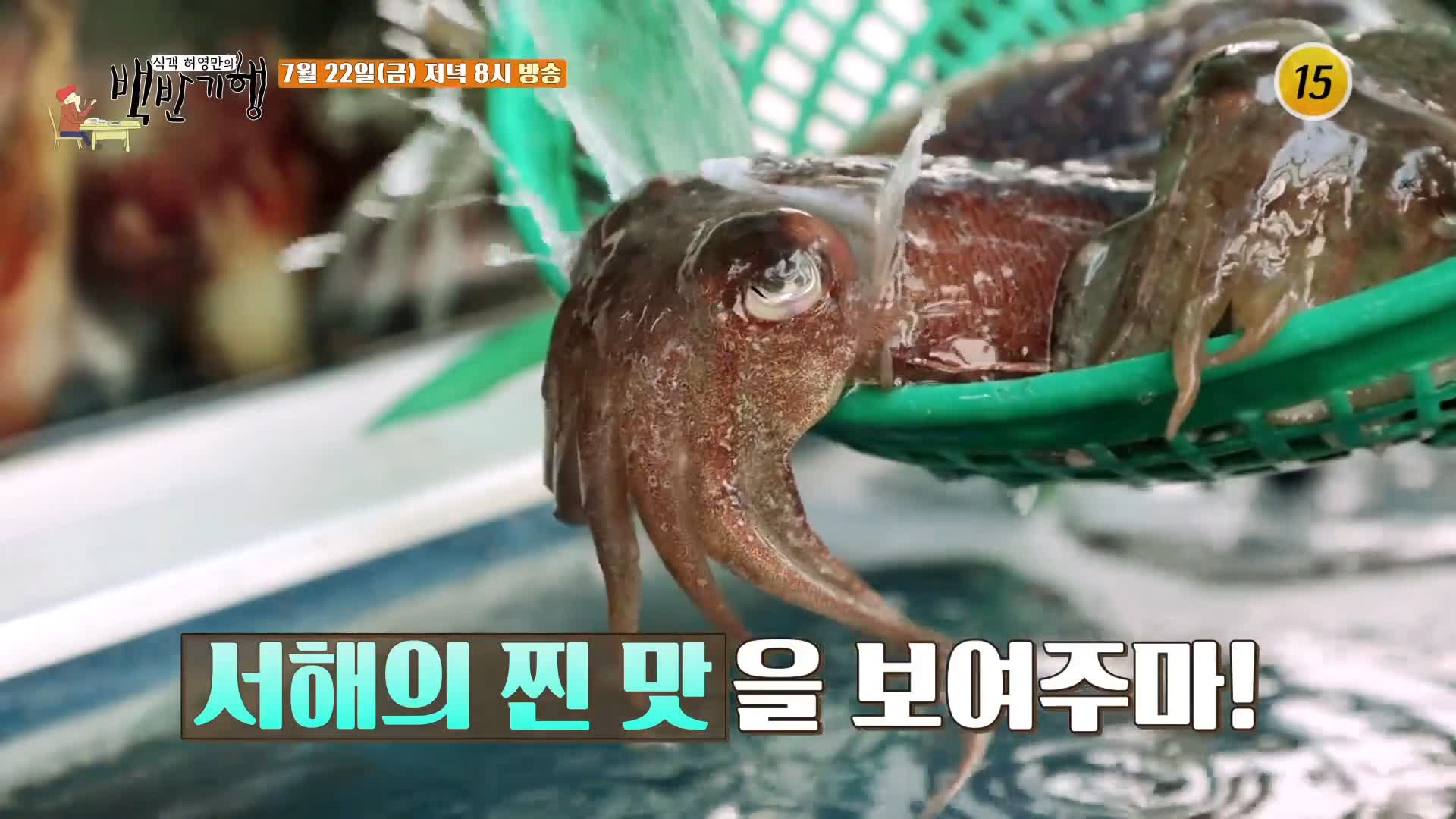 식객 허영만 백반기행 161회 김재경 편 갑오징어 회, 먹물 옷을 입은 오징어통찜, 매콤한 오징어볶음 서천 노포 맛집 소개