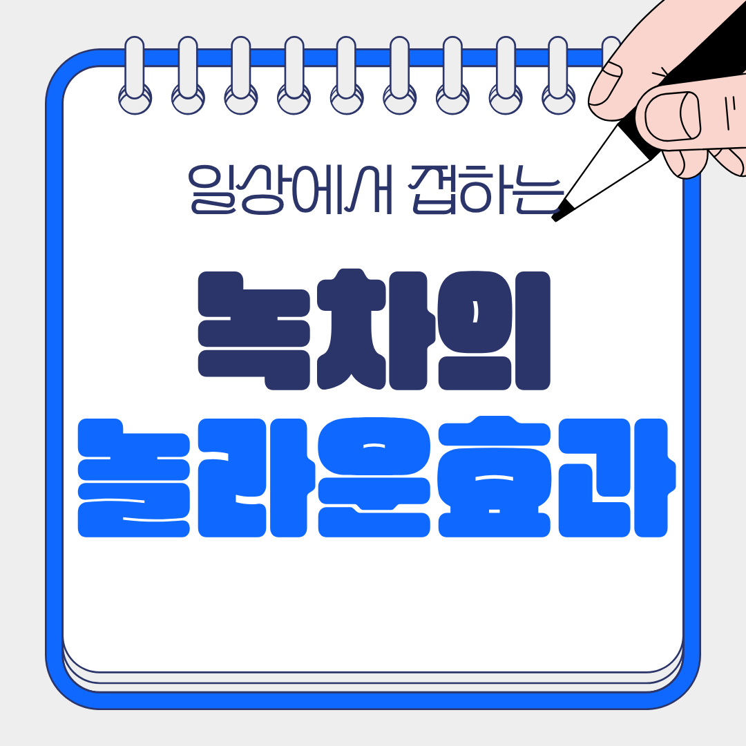 녹차 효능 총정리 ❘ 다이어트·피부·항산화 효과까지 한눈에!