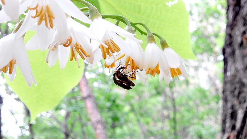 북한산둘레길 산너미길