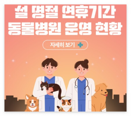 설날 명절 연휴 24시간 운영 동물병원 위치 어디 휴일