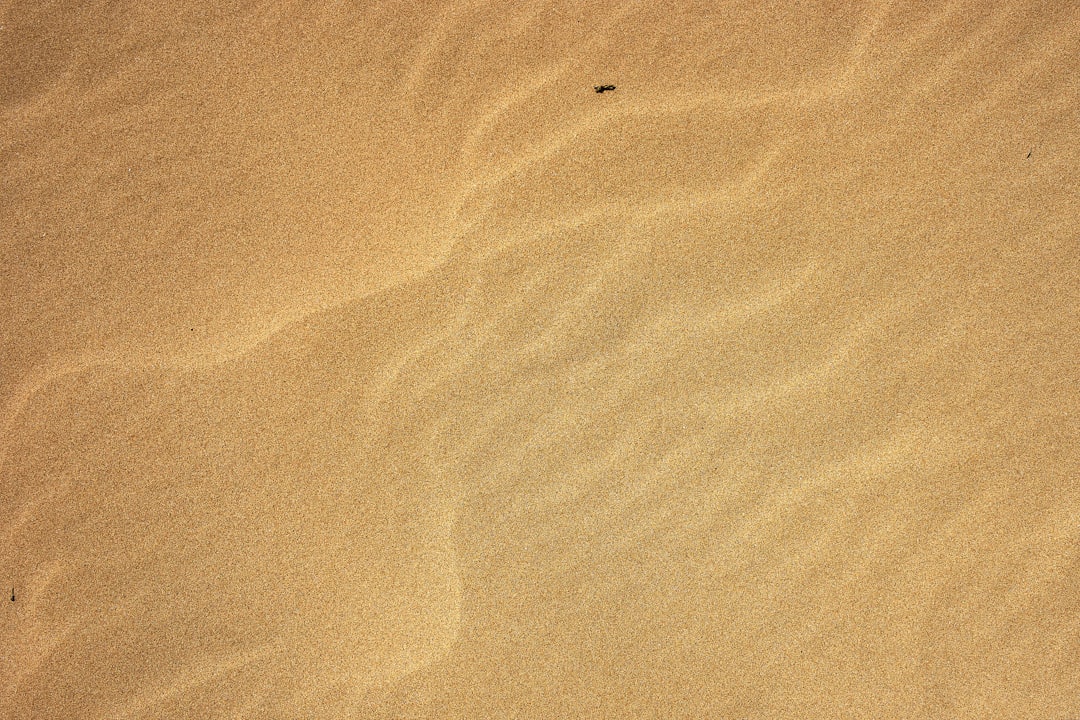 Sand.