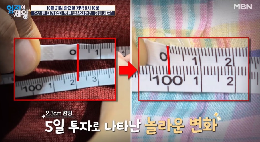 카무트효소-효능-엄지의제왕-장내세균