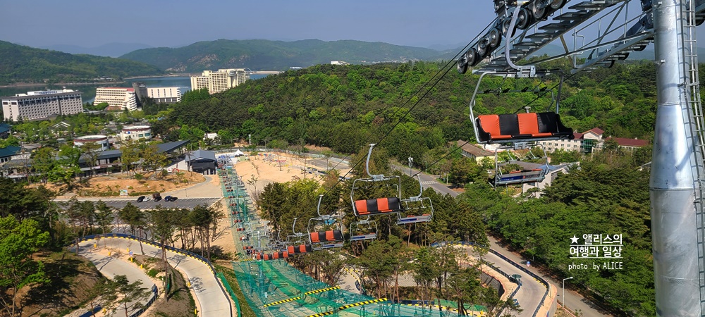 경주 루지월드 추천코스, 이용권 할인쿠폰, 무료사진 네컷, 데이트코스, 가족여행