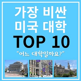 미국 비싼대학 Top 10