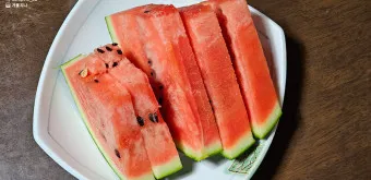수박 효능_8