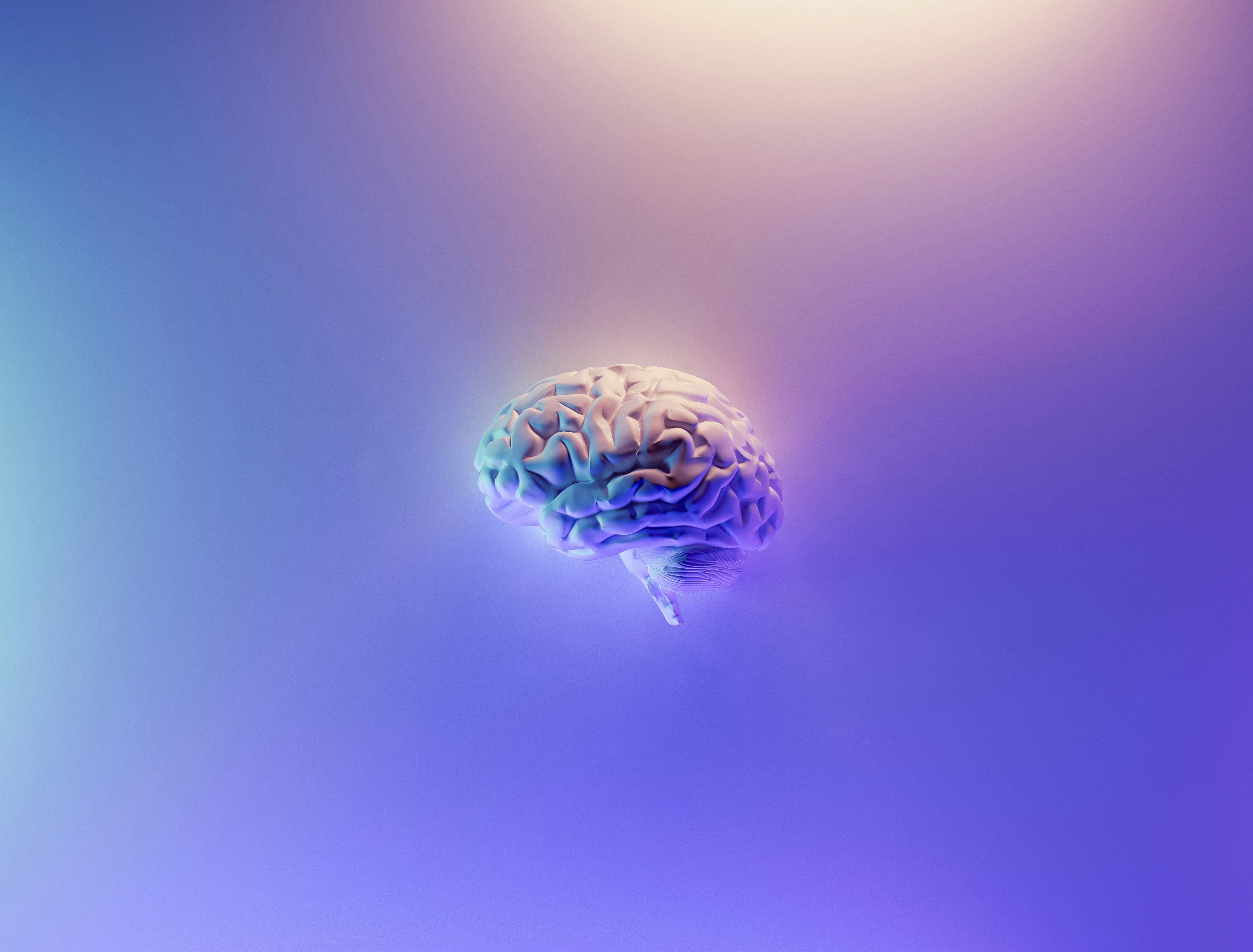 IQ