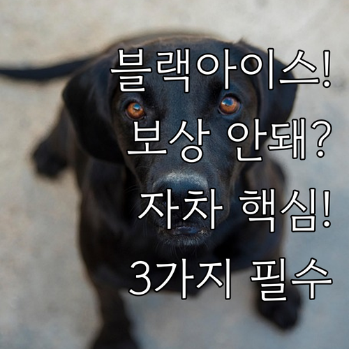 타인 보상 어려운 블랙아이스 사고 자..