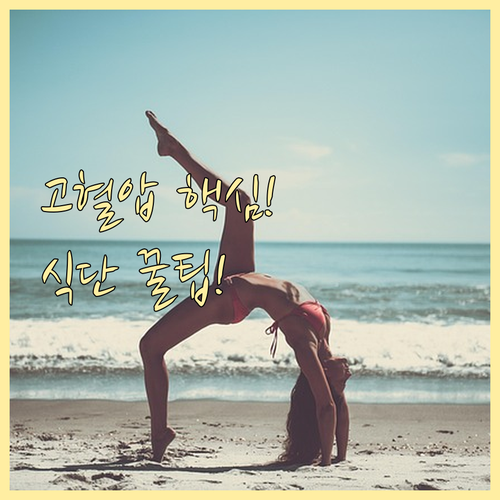 고혈압 치료의 필수 요소 식단 조절과..