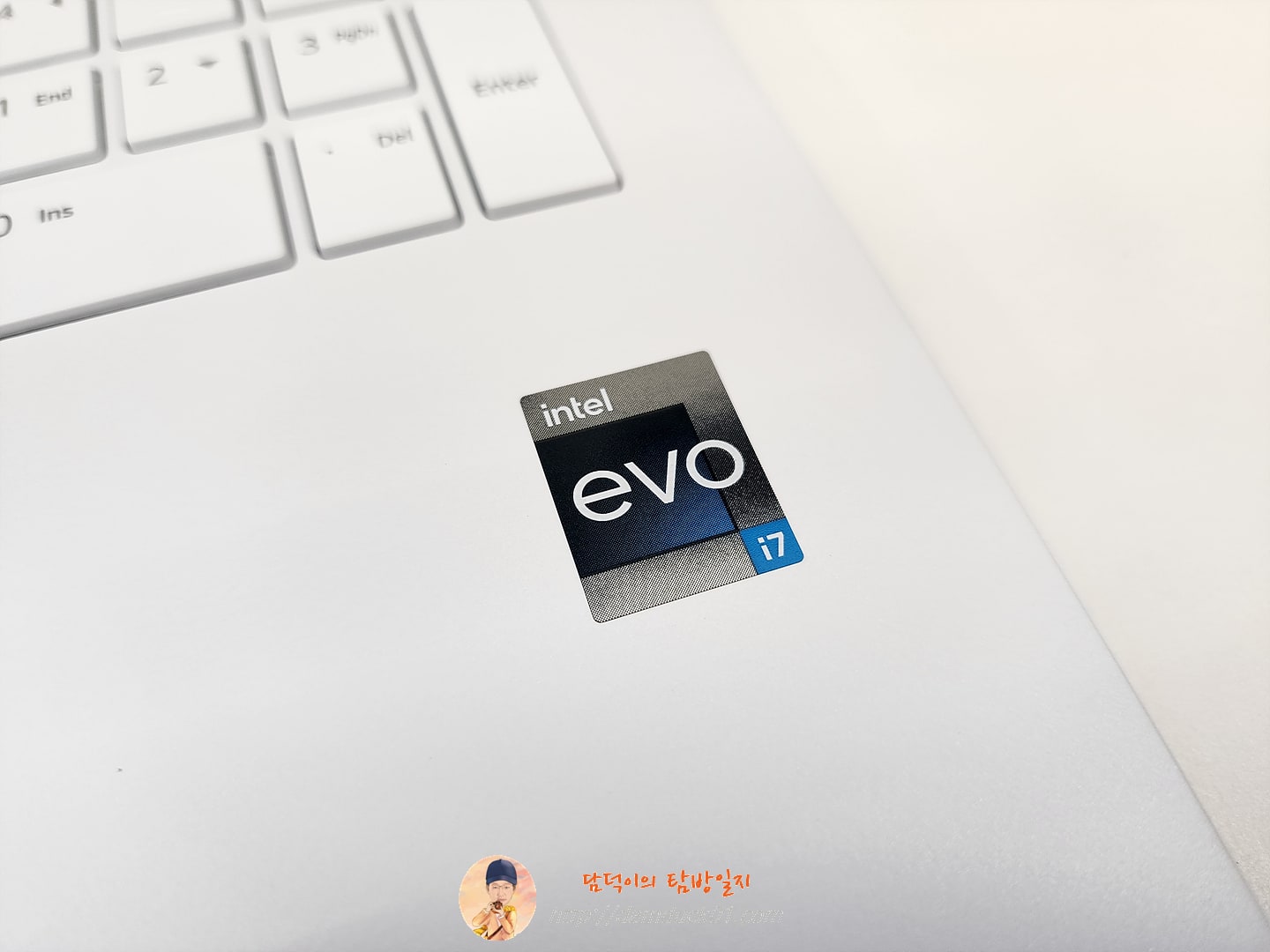 LG전자 2022 그램17(12세대) 17Z90Q-GA76K